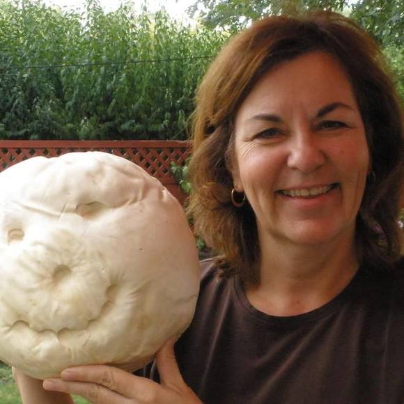 debbiemartello